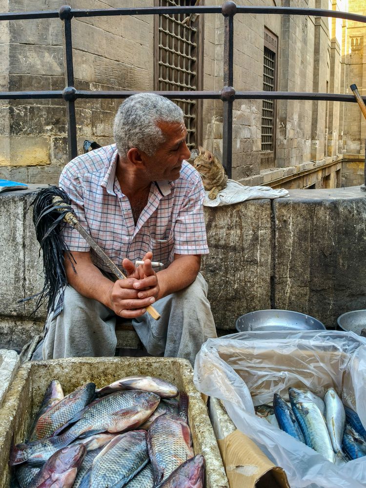 Photograph by Alaa Wahba