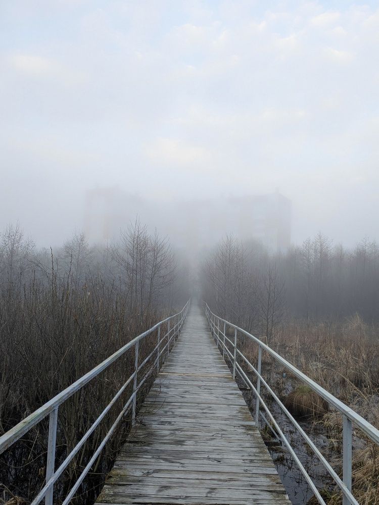 Фотография автора Наталья Савинкова