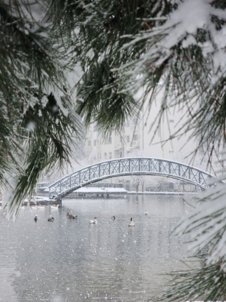 Photograph by Anna Semenova