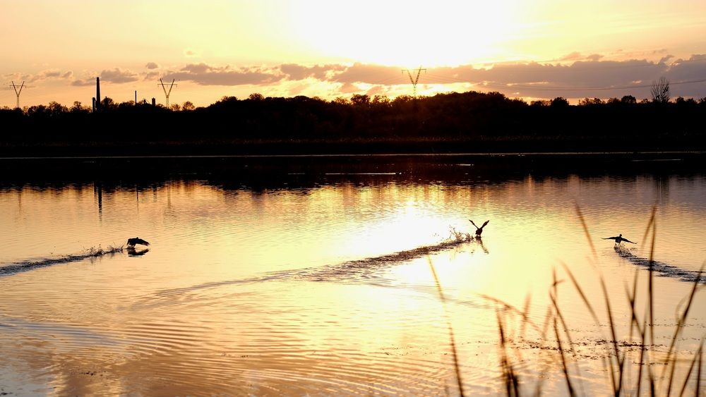 Photograph by Яна Истоцкая