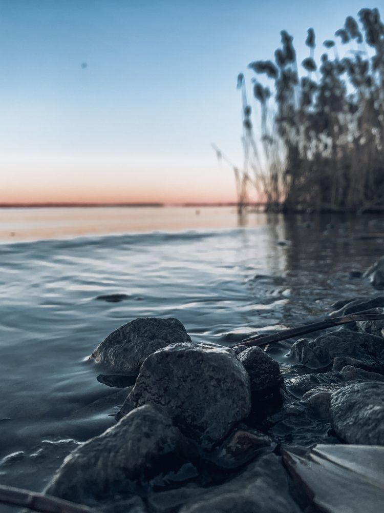 Photograph by Дарья