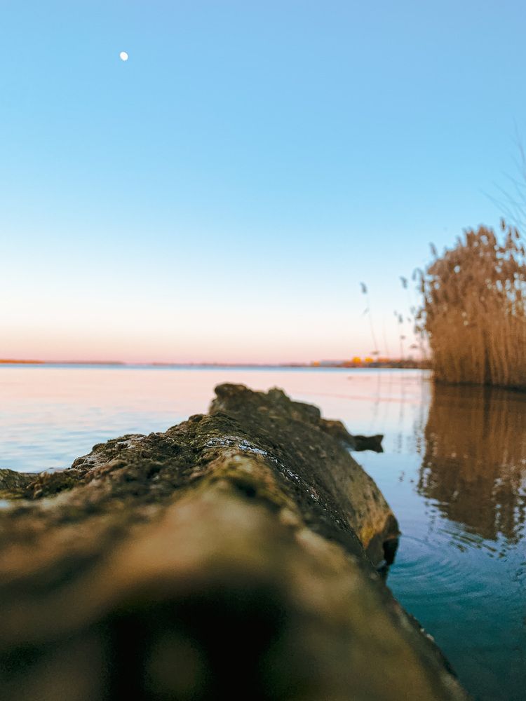 Photograph by Дарья