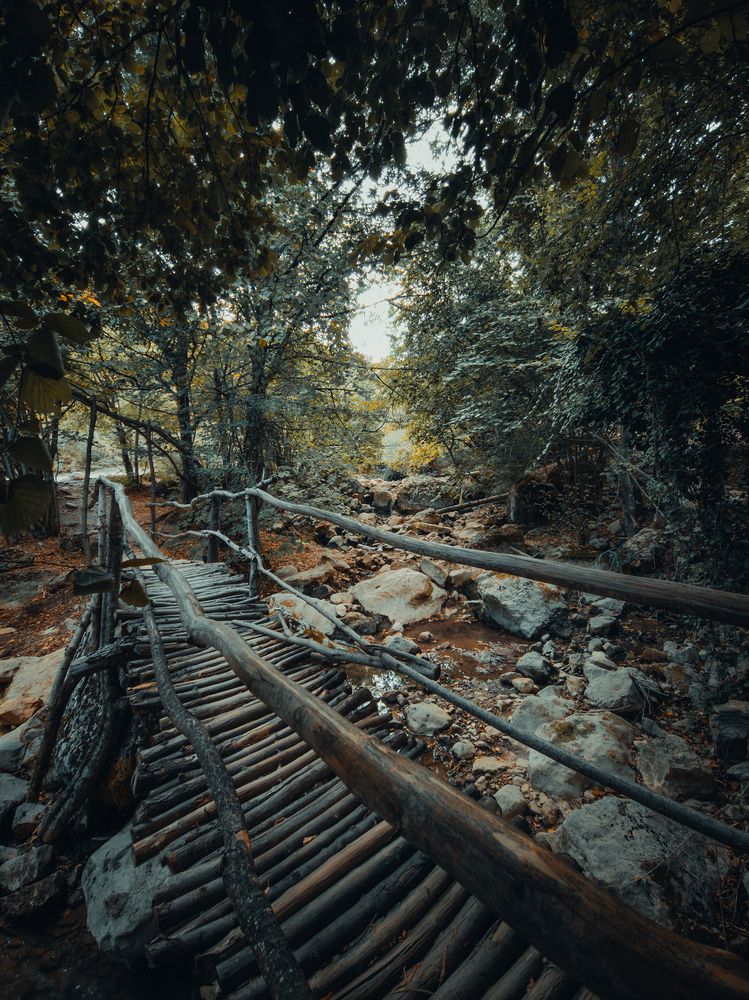 Photograph by Илья Цымбал