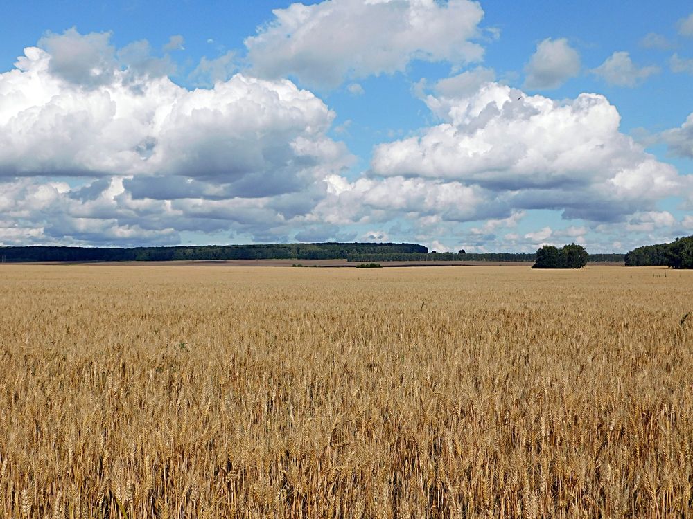 Photograph by Игорь Галеев