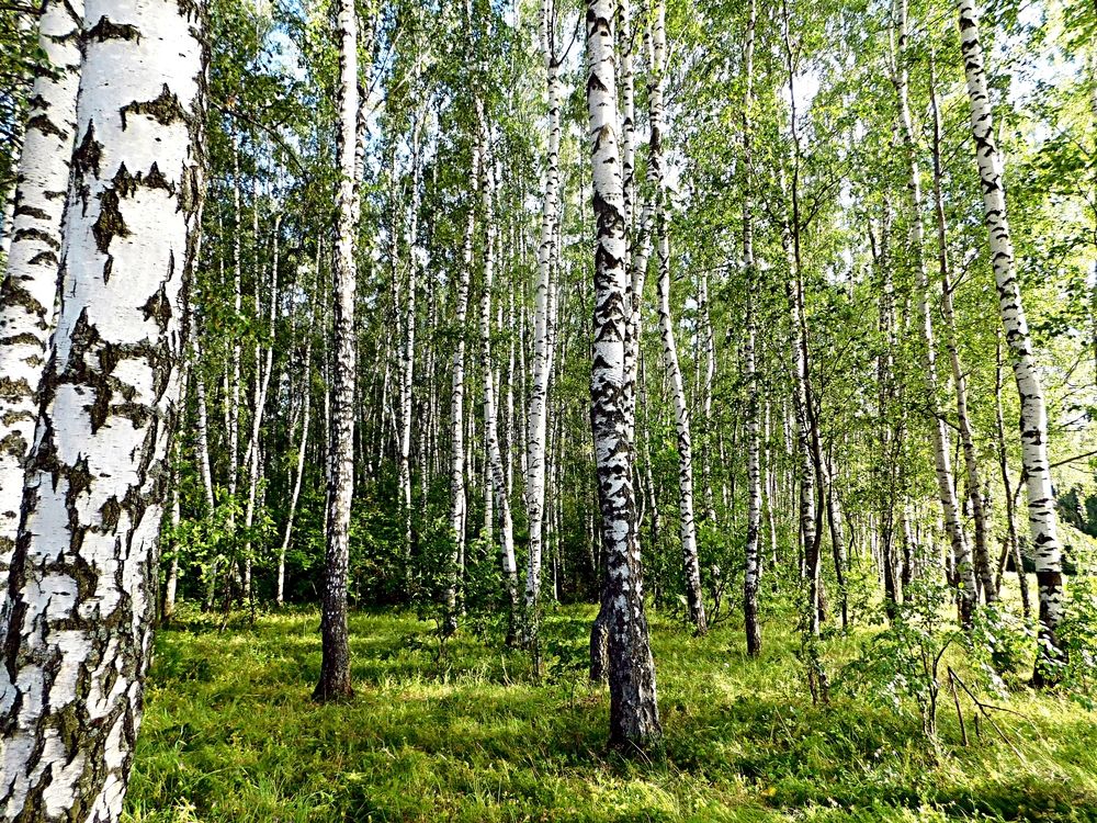Photograph by Игорь Галеев