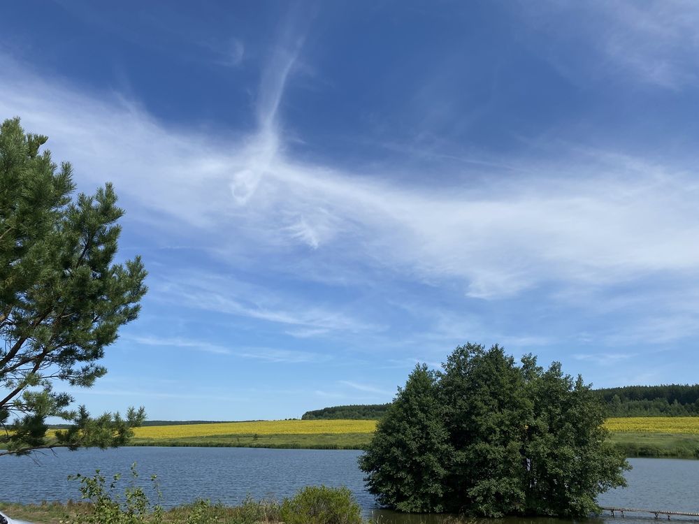 Photograph by Елена Альмяшева