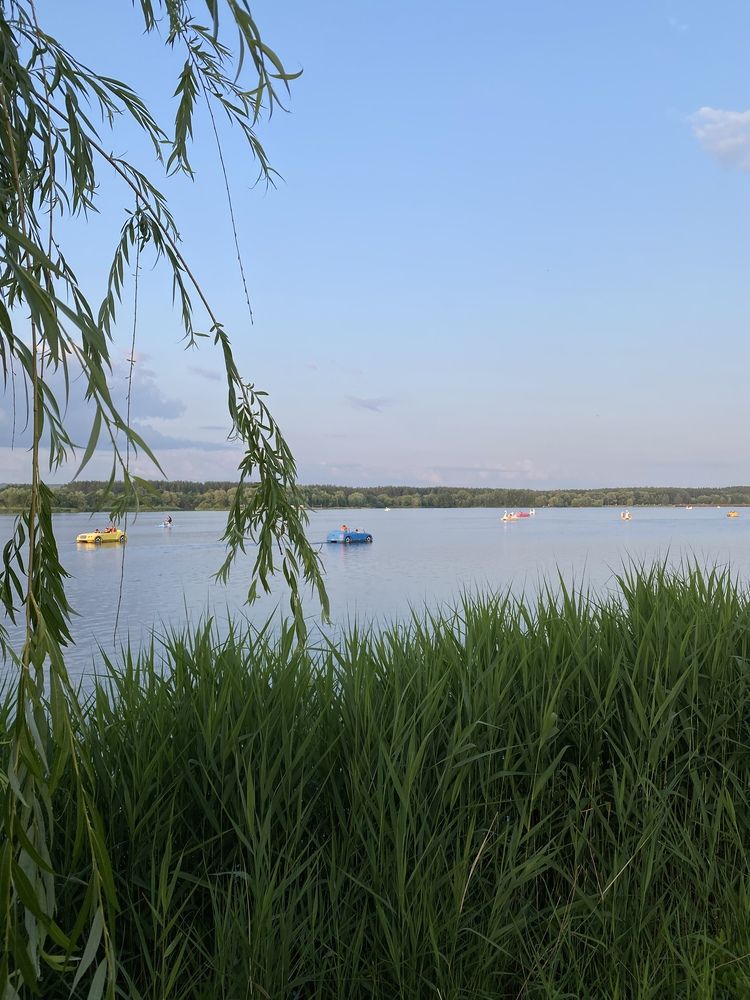 Photograph by Елена Альмяшева