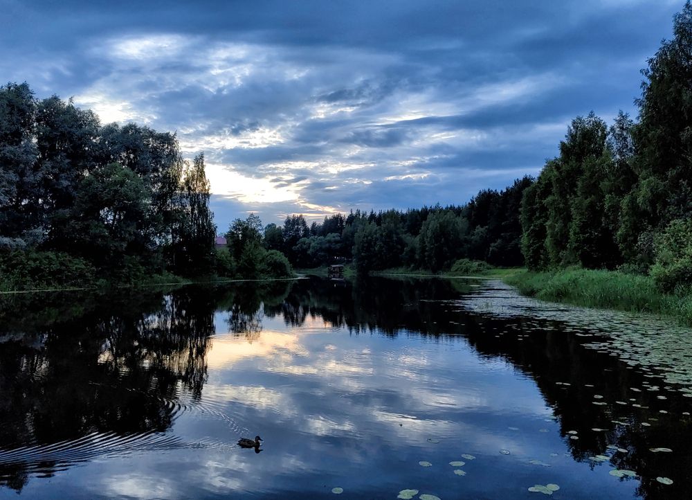 Photograph by Михаил Янкин