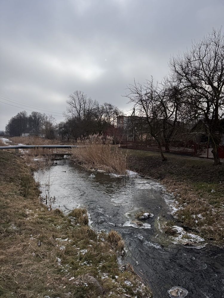 Фотография автора Жанна Колесникова