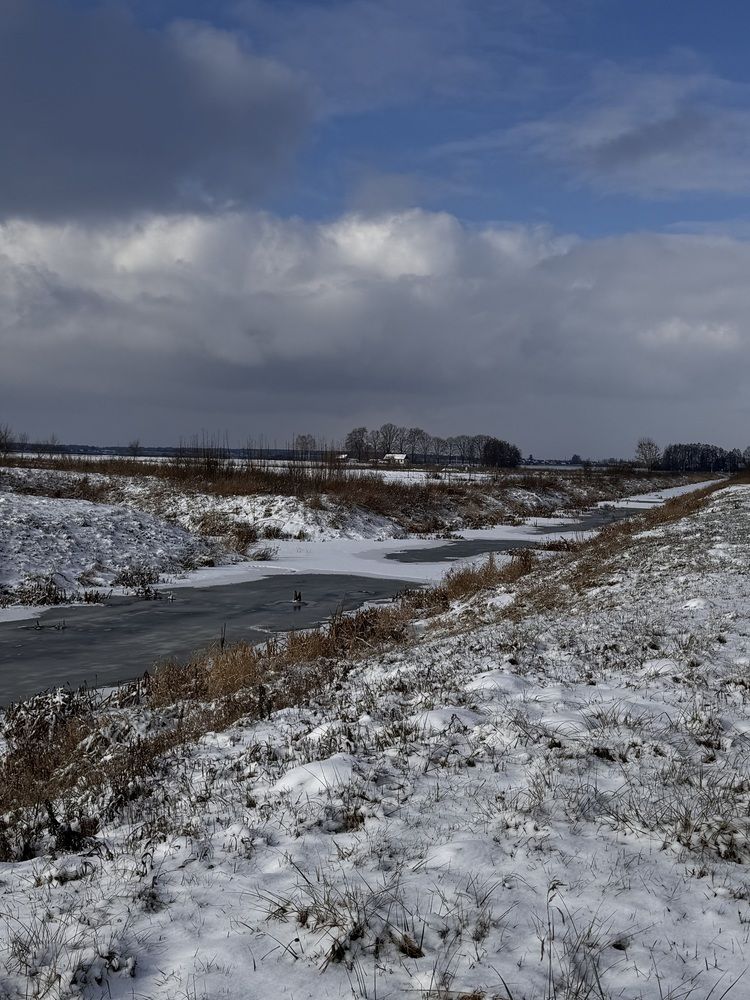 Фотография автора Жанна Колесникова
