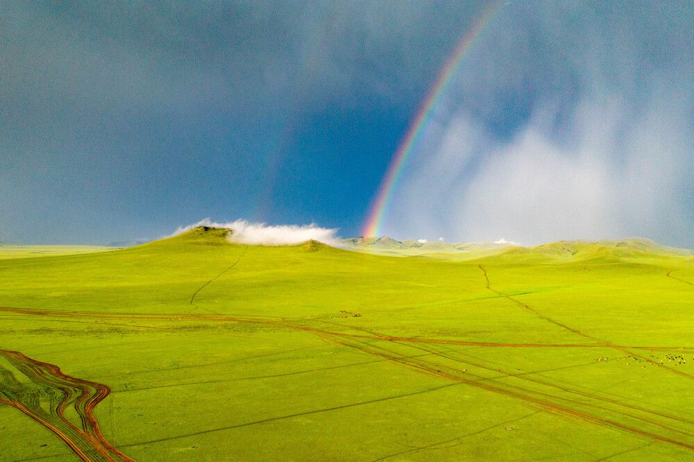 Rainbow