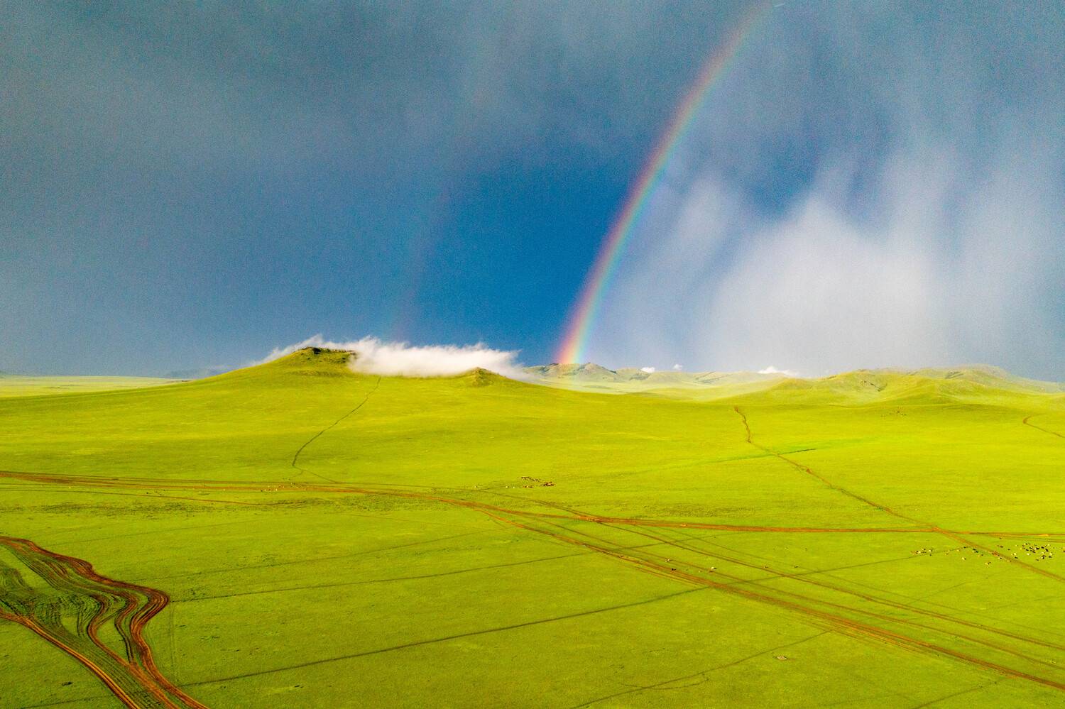 Rainbow