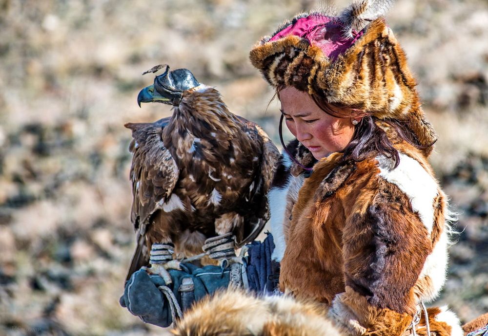 Фотография автора Валерий Смирнов