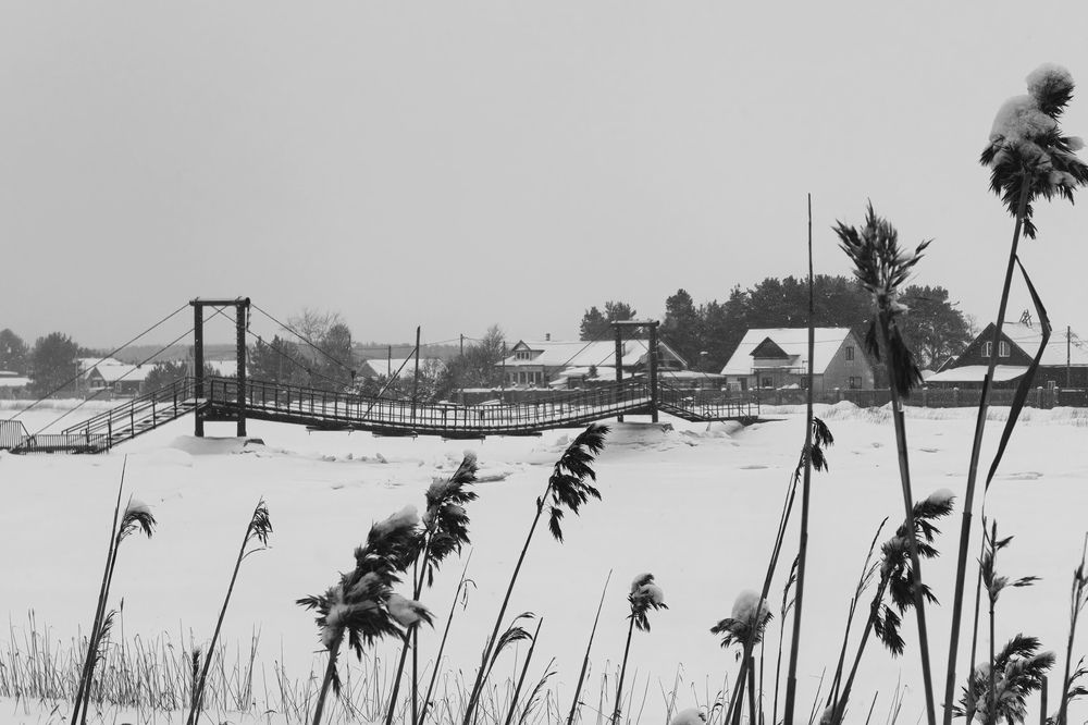 Photograph by Дина Калинина