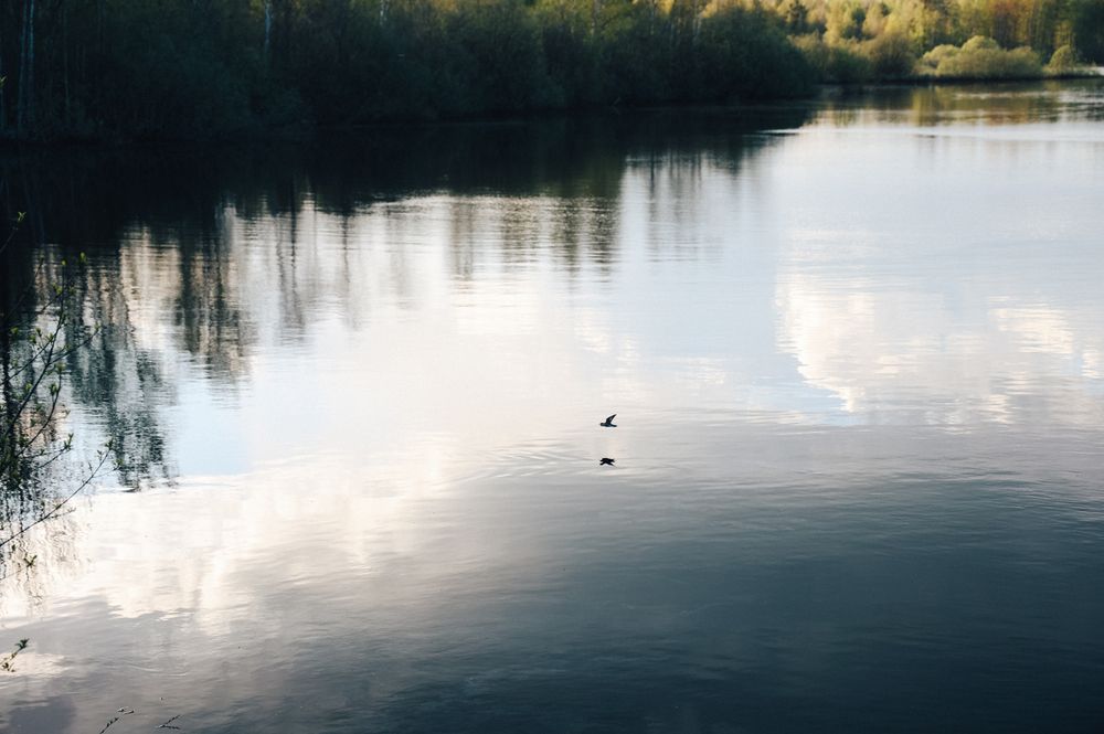 Photograph by Юлия Дягиль