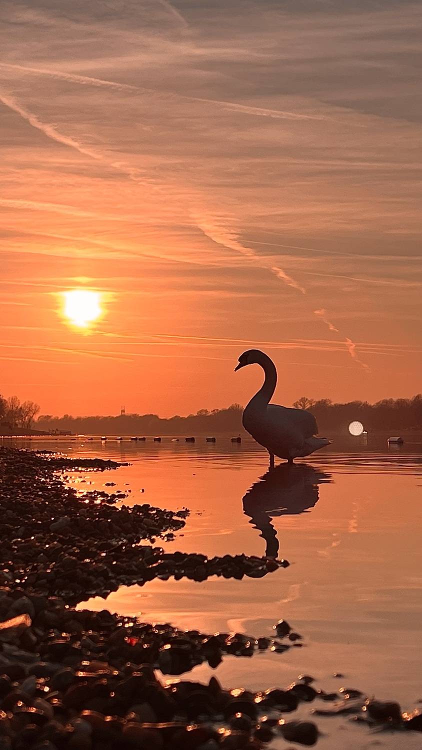 Фотография #13415299