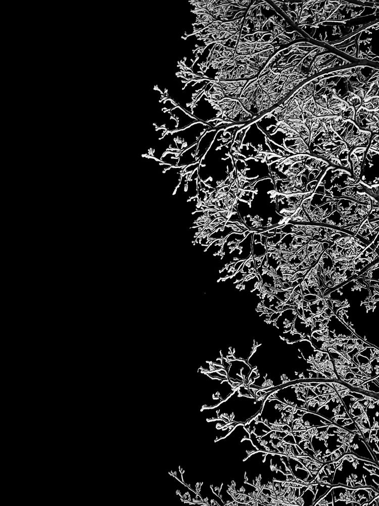 Зимнее кружево