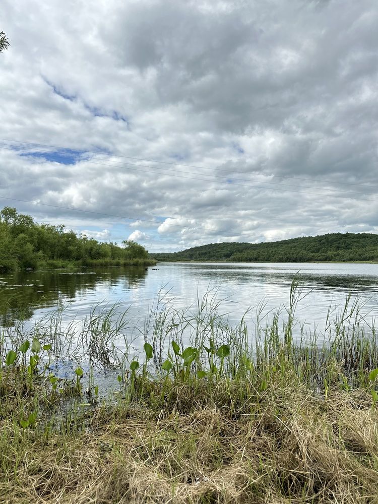 Photograph by Светлана Шматко