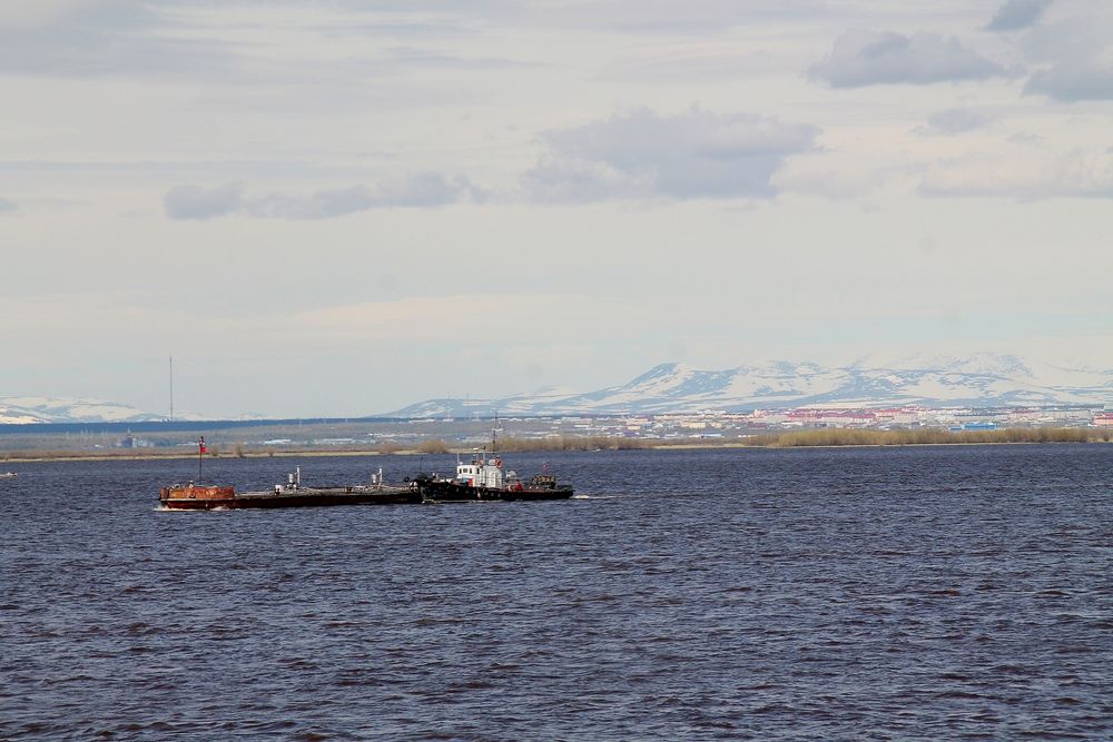 Photograph by Людмила Жданова