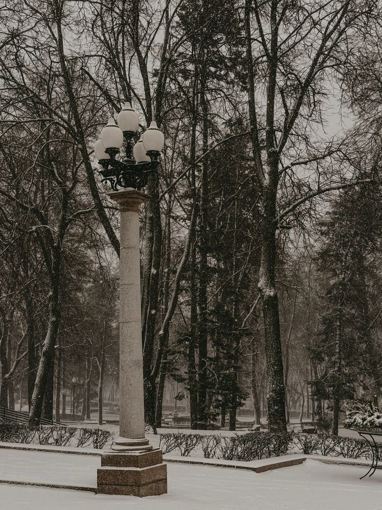 Зимний парк