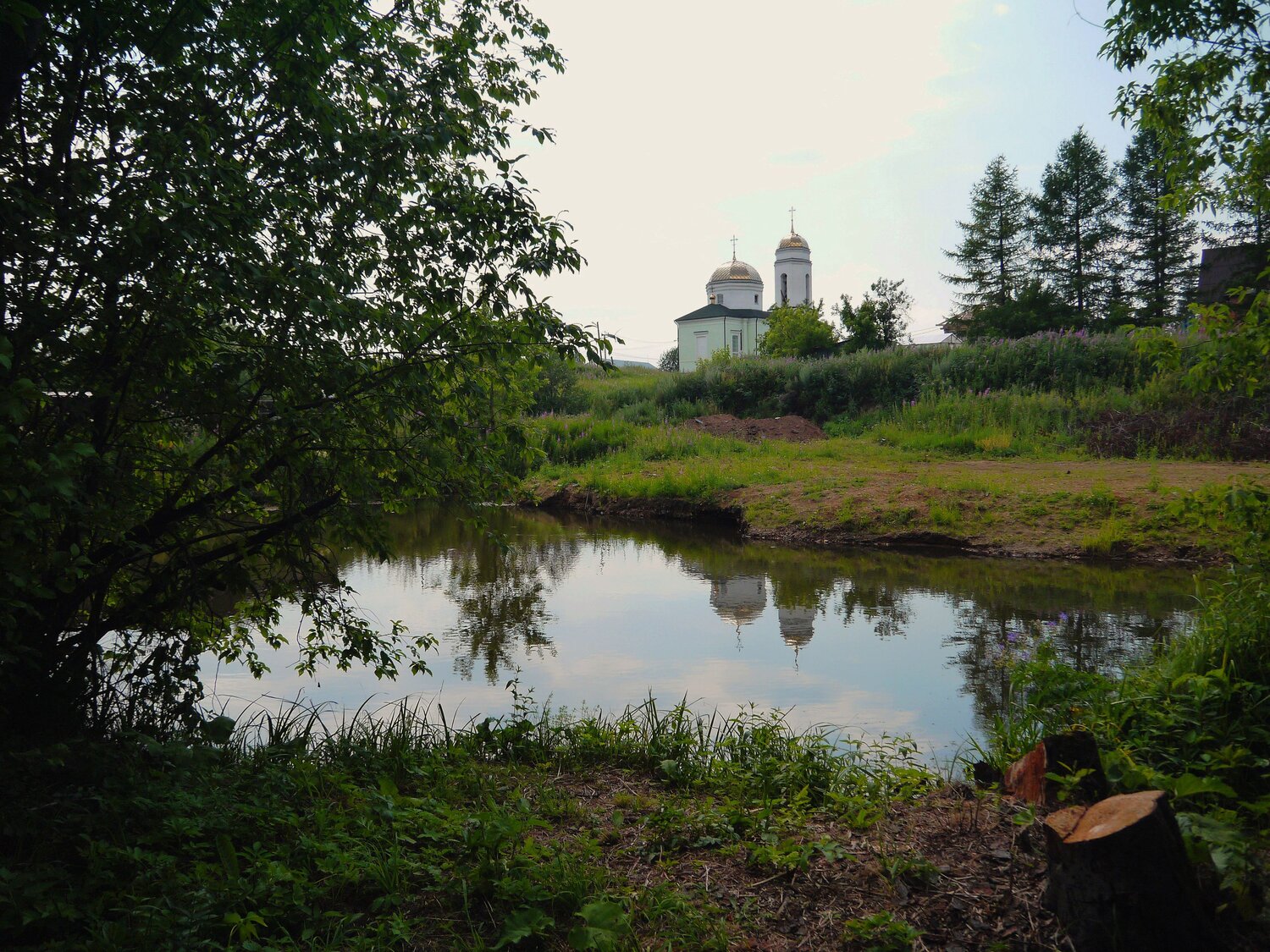 Photo #13415447