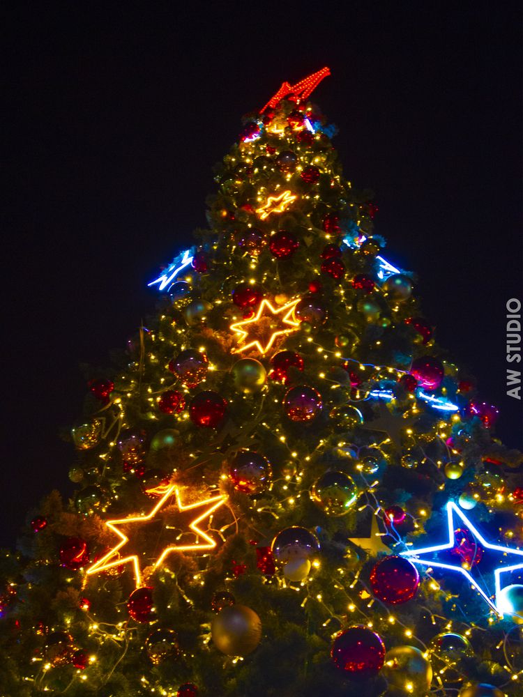 Звёздная сказка наяву