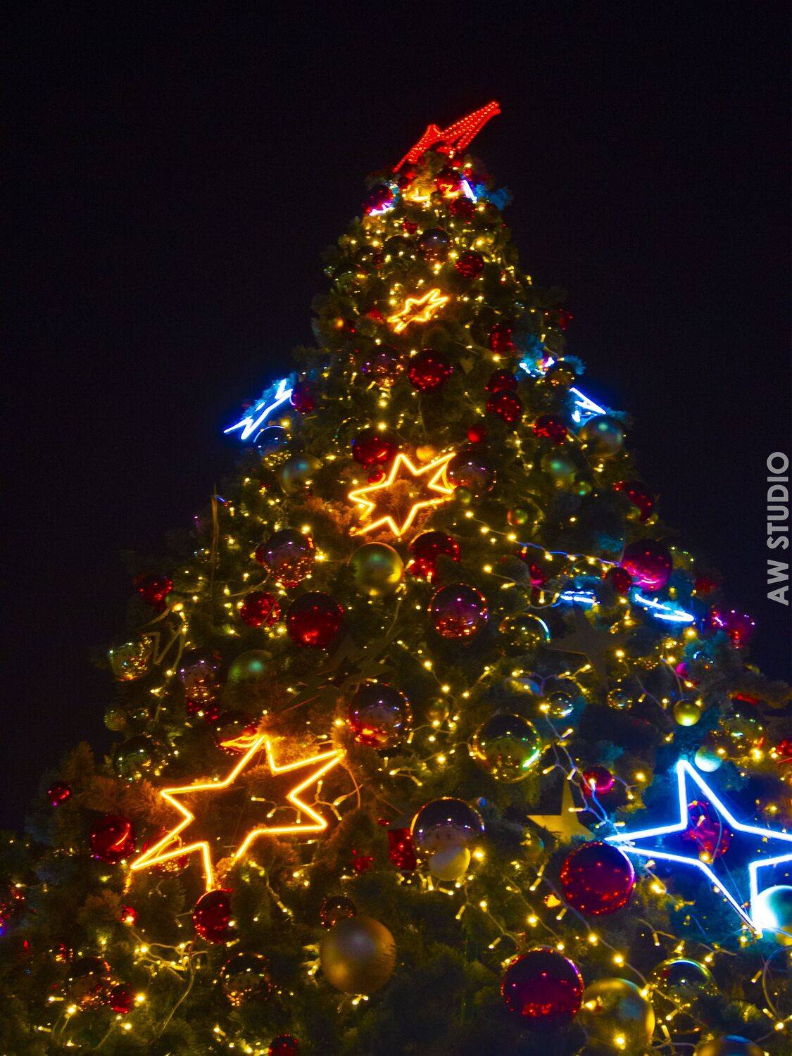 Звёздная сказка наяву