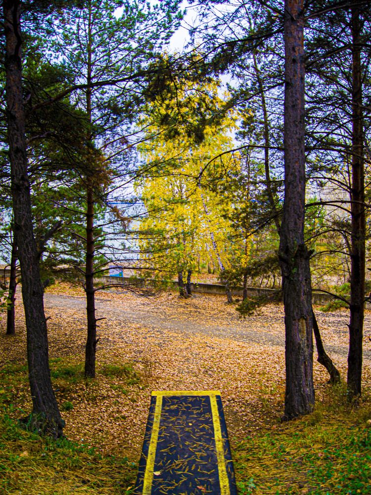 Жёлтая нить октября