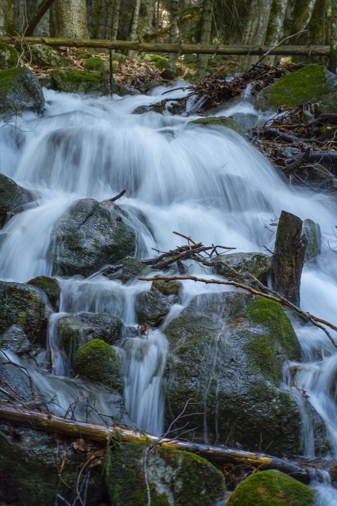 Фотография автора Юлия Март