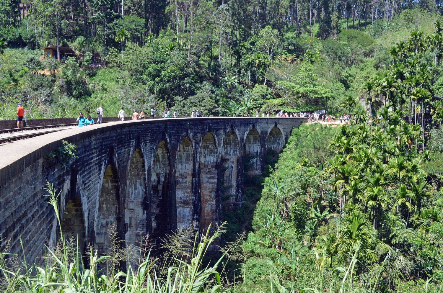 Фотография #13415593