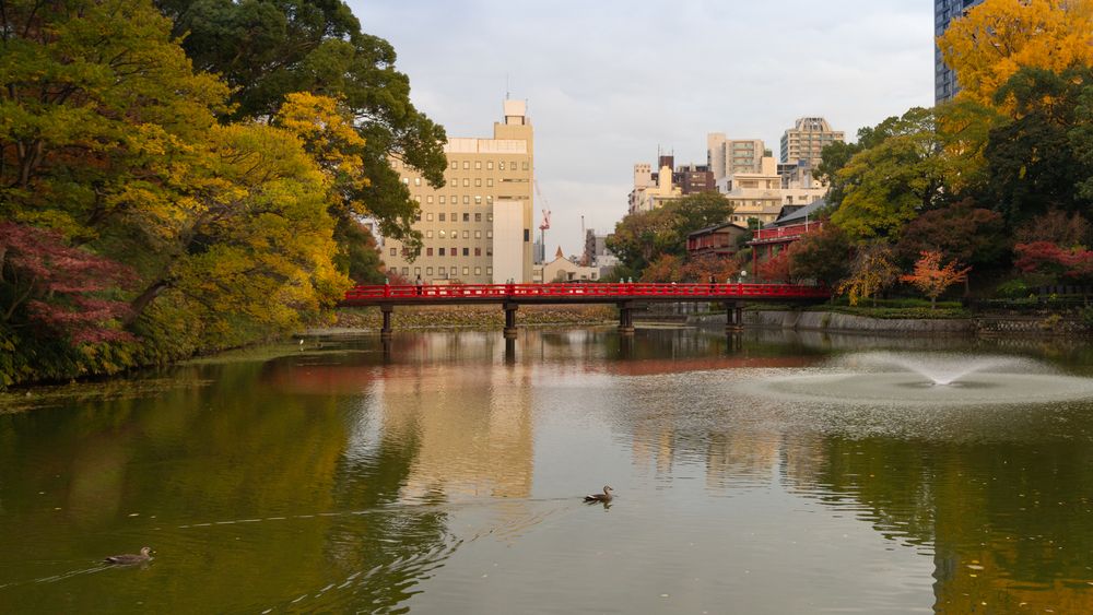 Photograph by Алина Еникеева