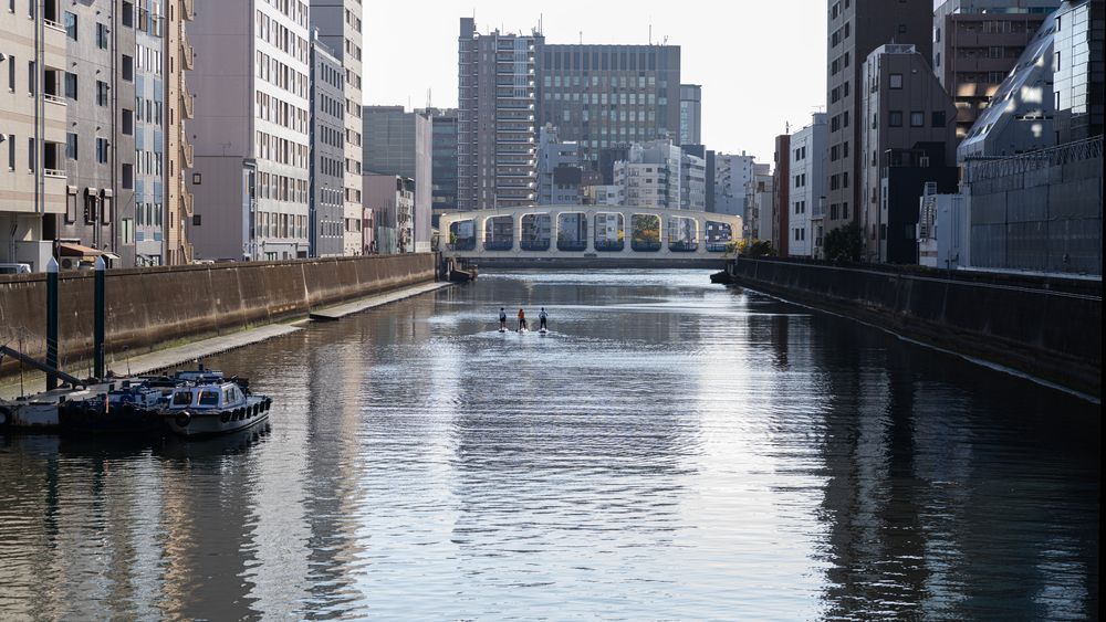 Photograph by Алина Еникеева