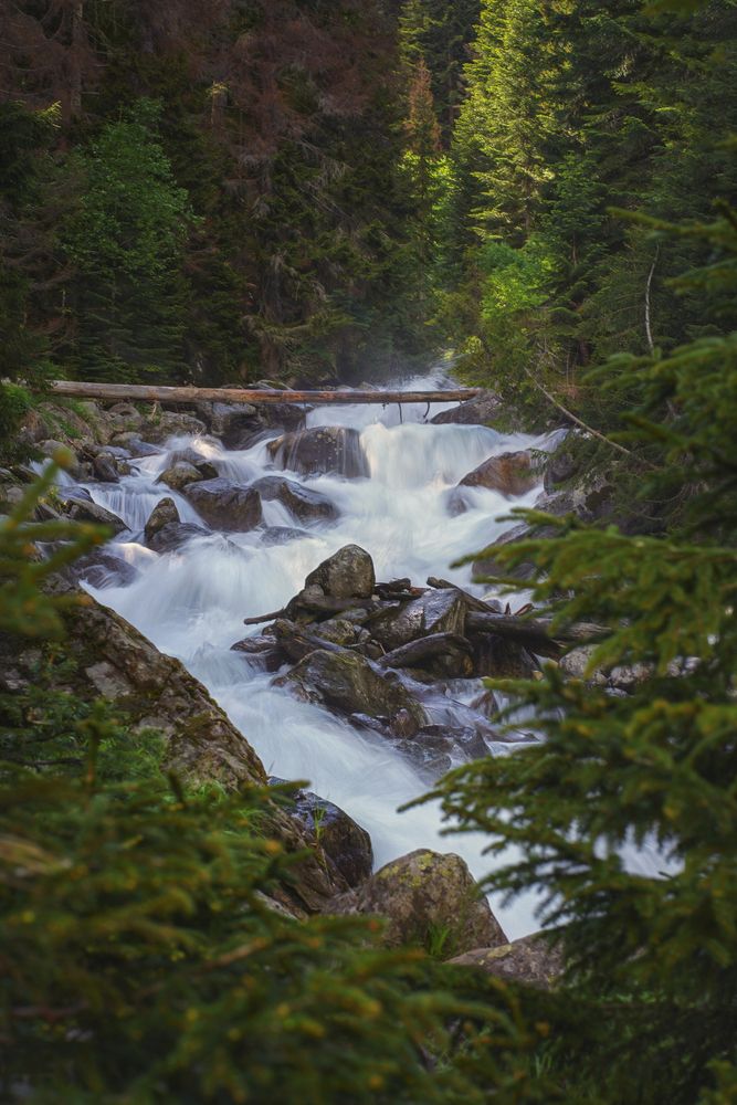 Фотография автора Юлия Март