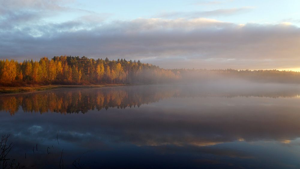 Photograph by Галина Лубянникова