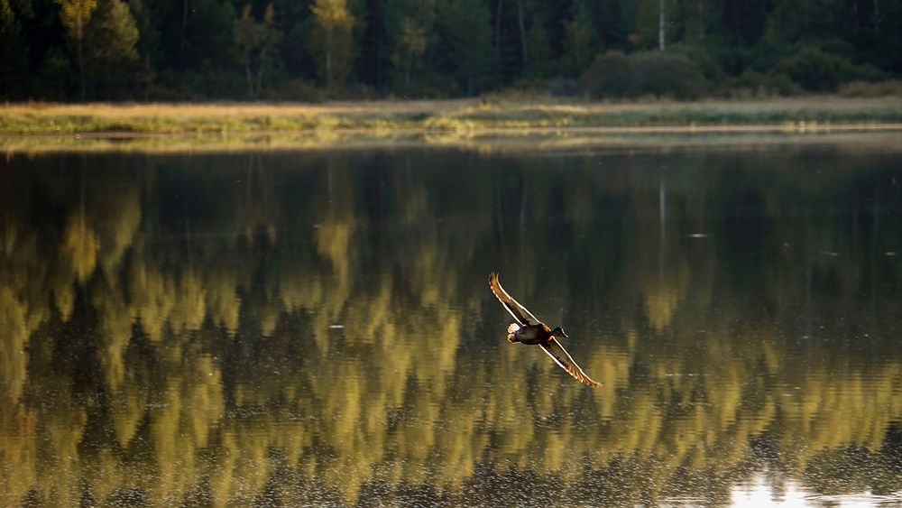 Photograph by Галина Лубянникова
