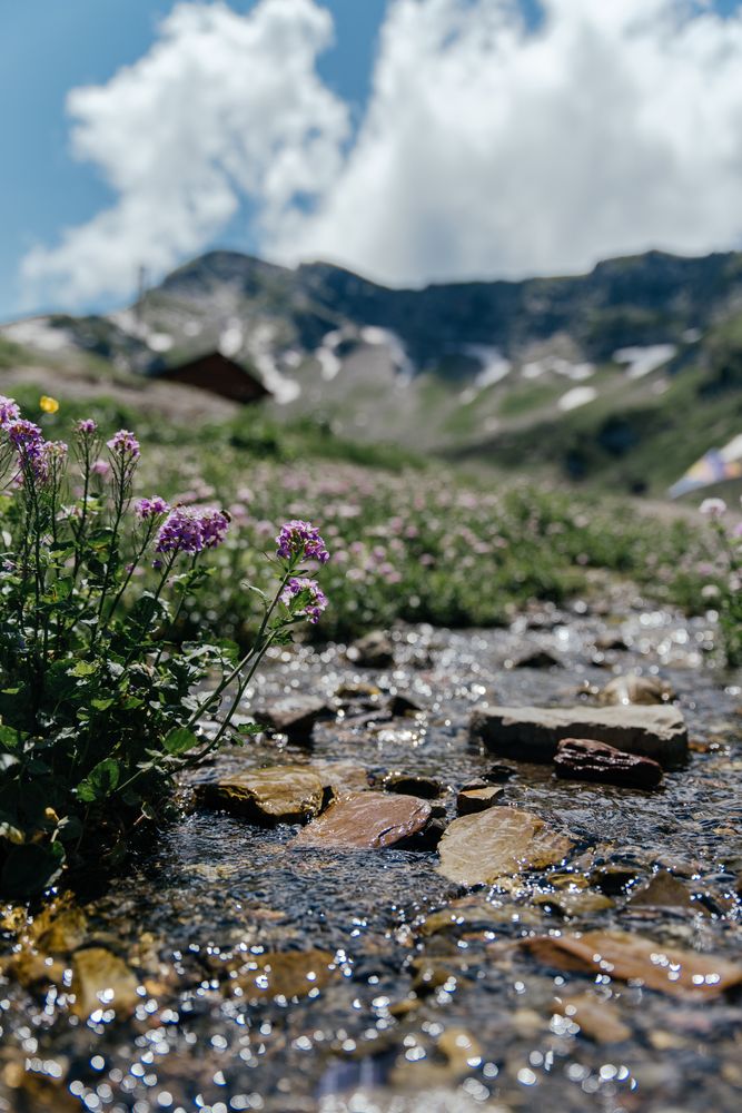 Photograph by Владимир Моисеев