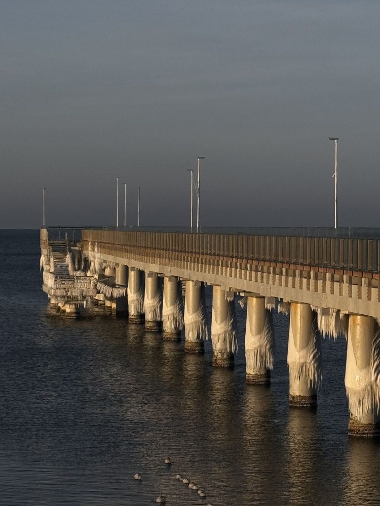 Фотография автора Жанна Колесникова