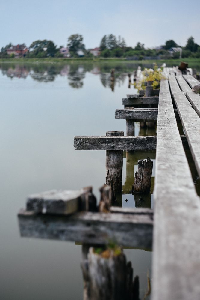 Photograph by Владимир Моисеев
