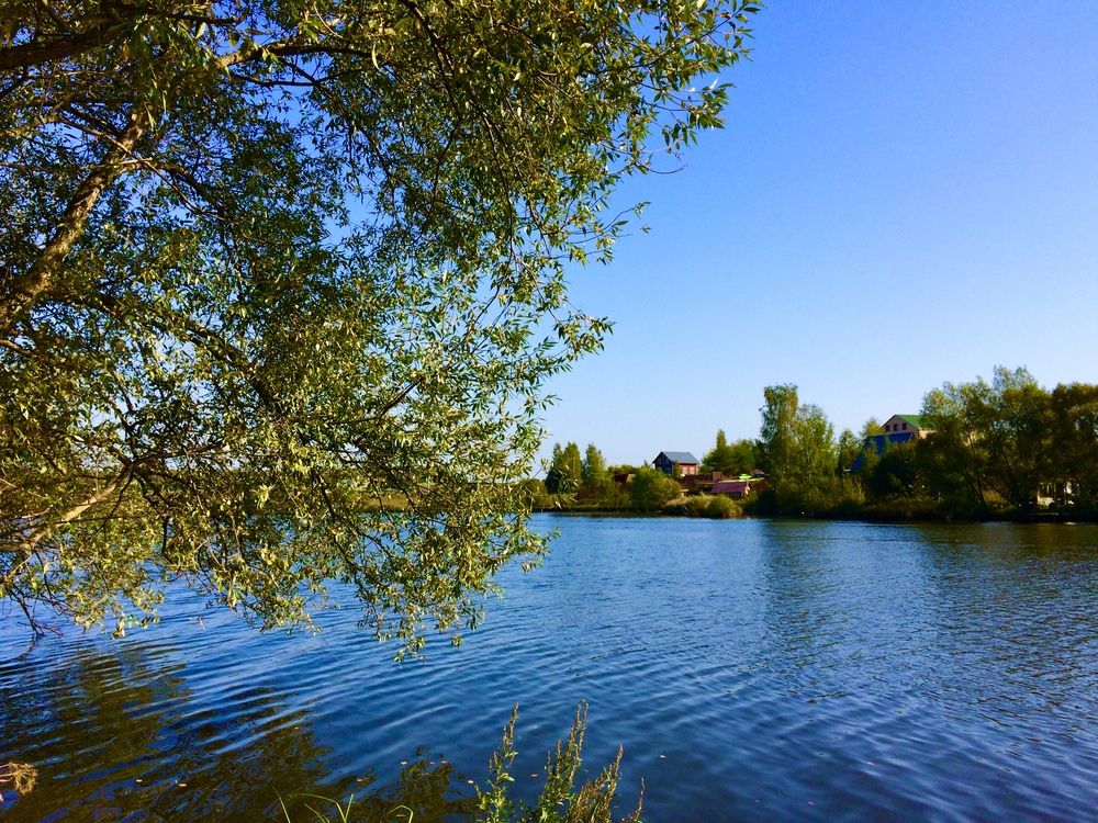 Photograph by Светлана