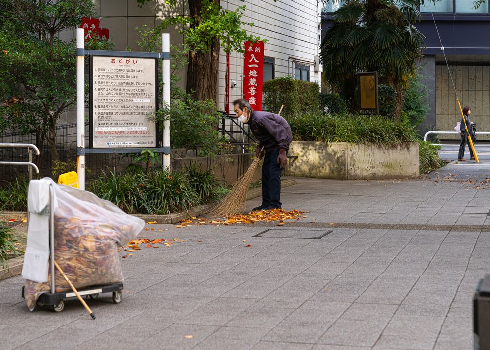 Photograph by Алина Еникеева