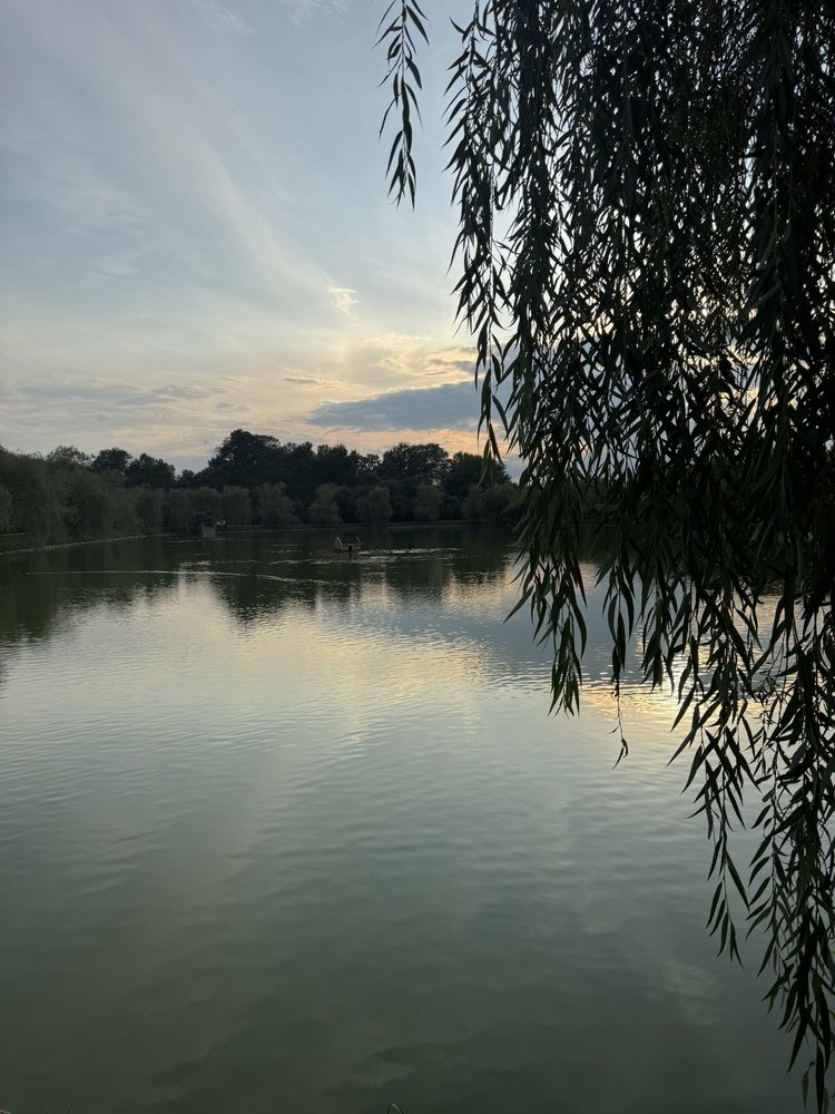 Photograph by Бойкова Наталия