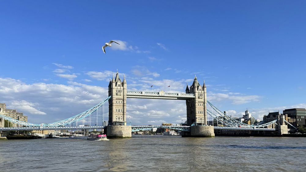 Photograph by Алина Еникеева