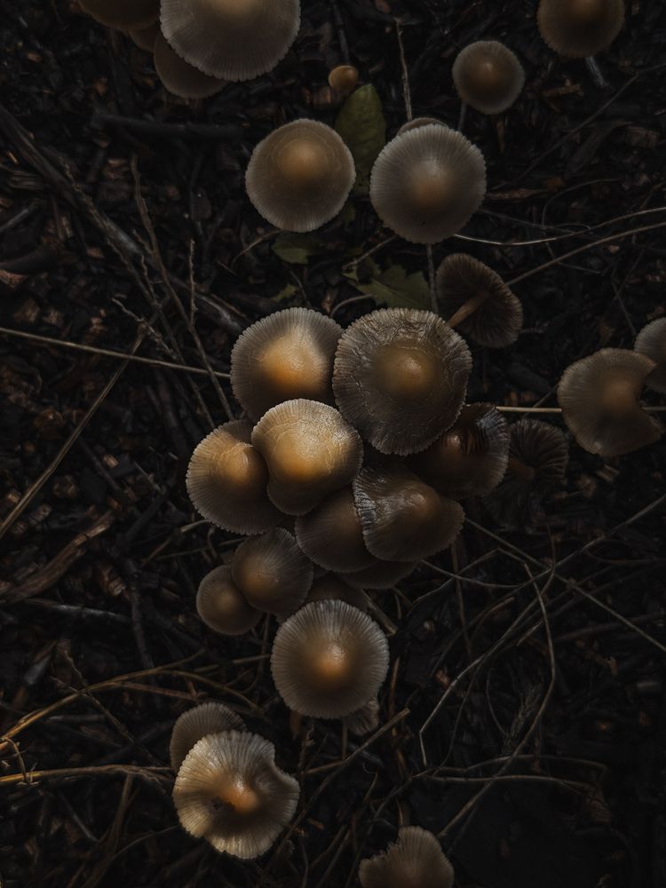 Photograph by Анастасия