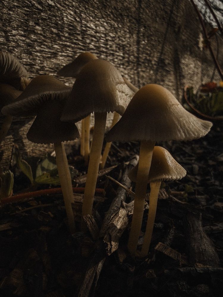 Photograph by Анастасия