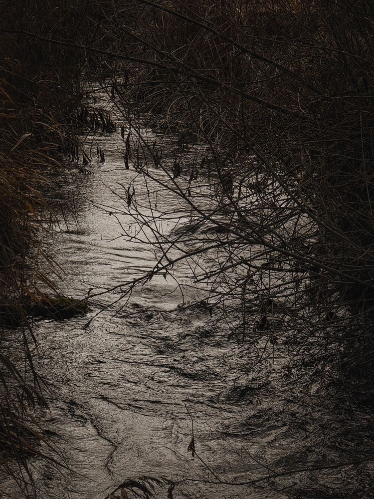Photograph by Анастасия