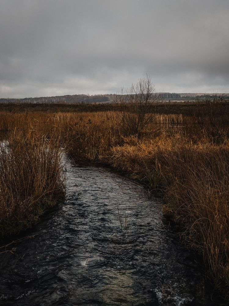 Photograph by Анастасия