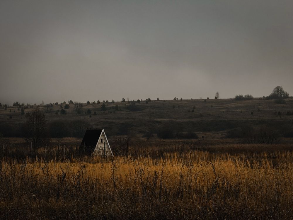 Photograph by Анастасия