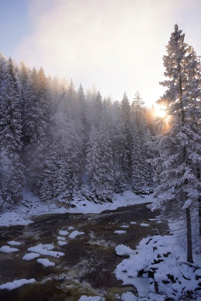 Photograph by Юлия Овчинникова