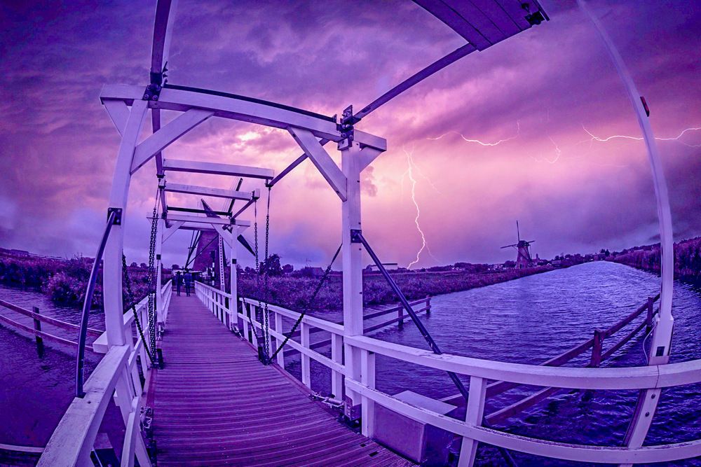 Photograph by Alessandra Carnio