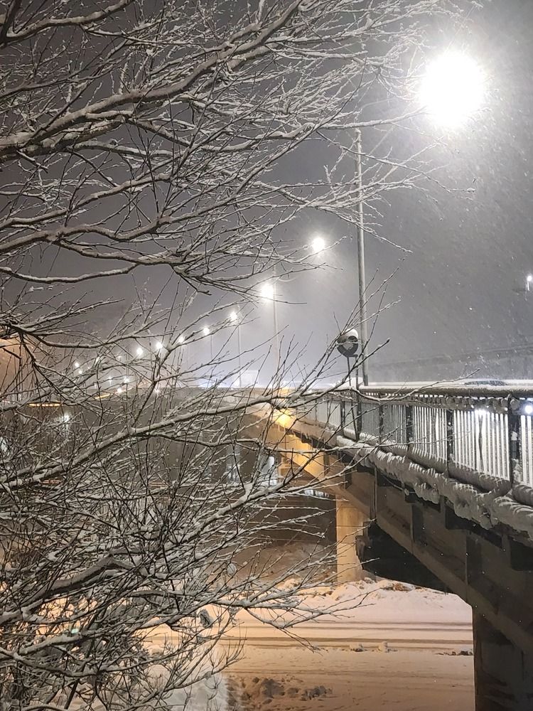 Photograph by Николай Андреев